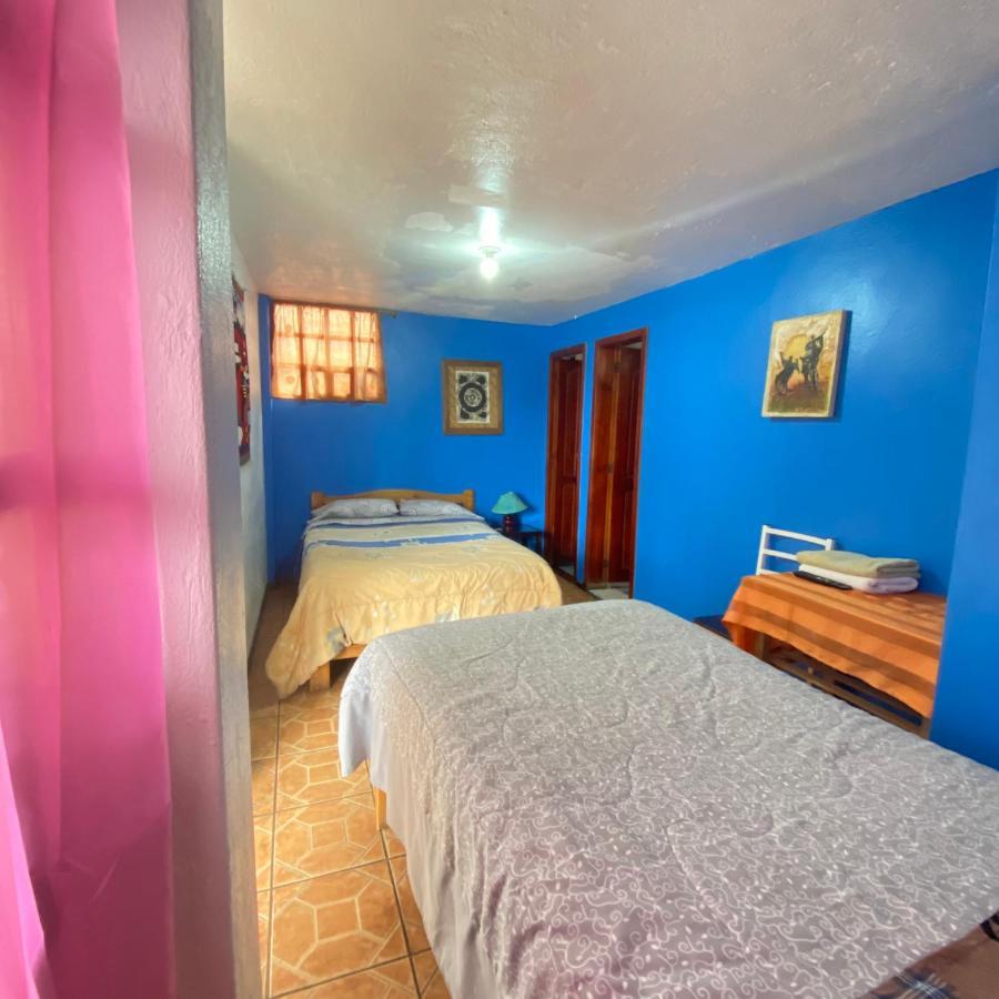 Hostal Chasqui 奥塔瓦洛 外观 照片