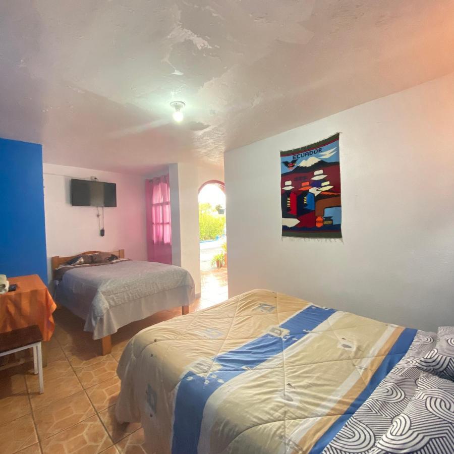 Hostal Chasqui 奥塔瓦洛 外观 照片